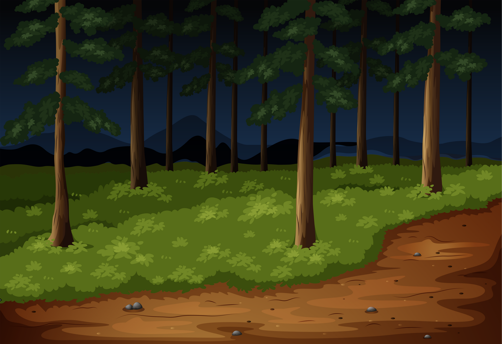 Forest scene with trees and trail at night